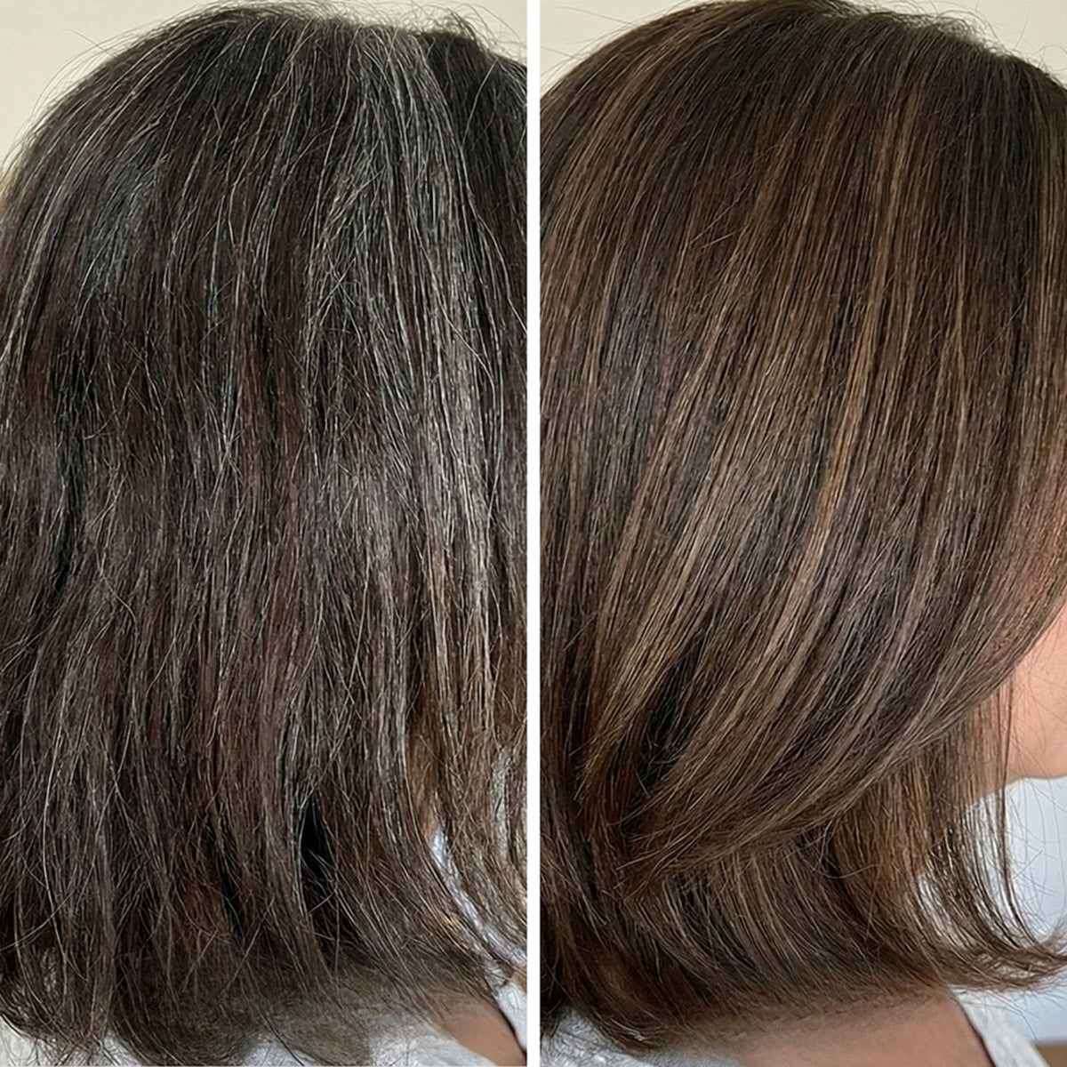 Gray Repair & Protection Duo ($239.96 Value)