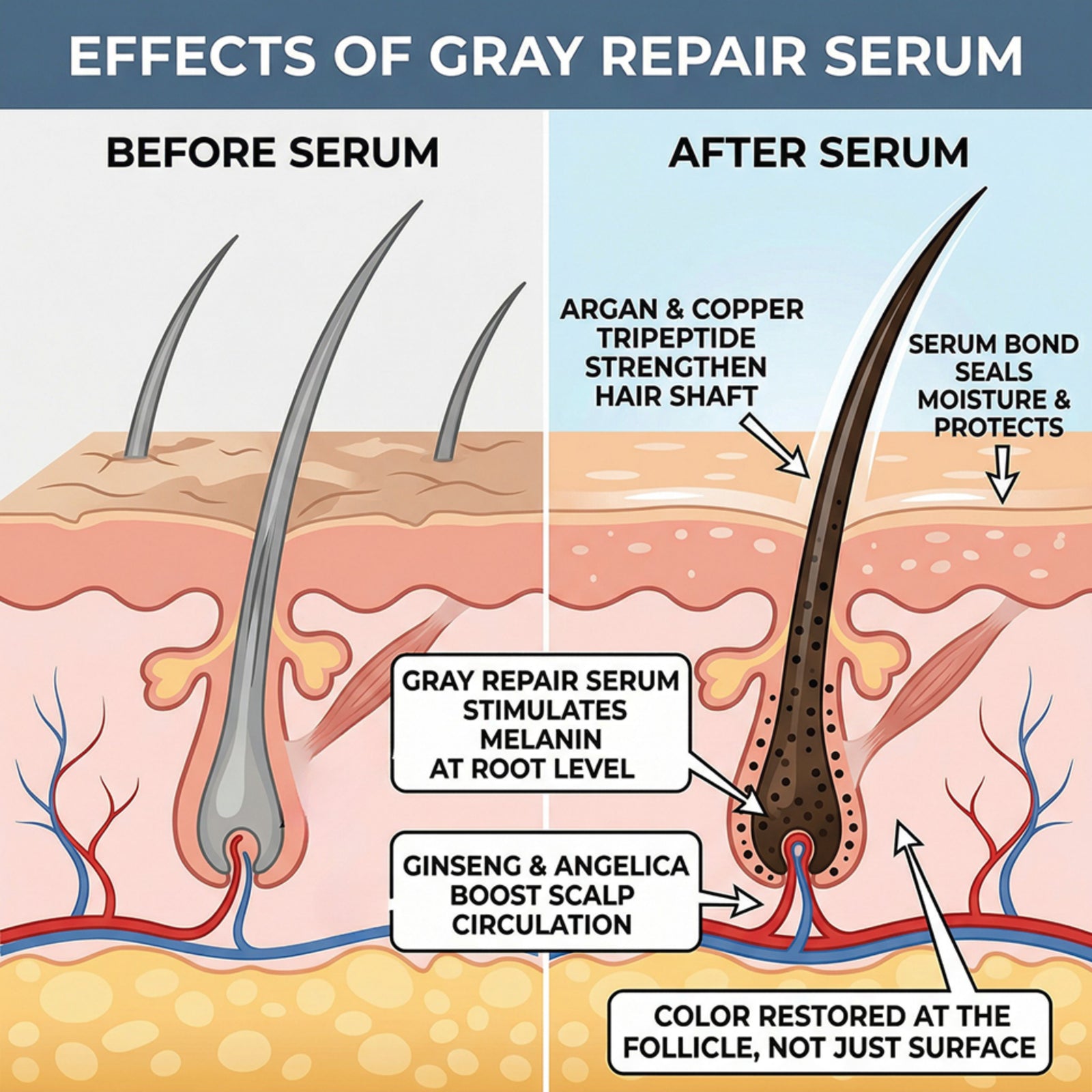 Gray Repair & Protection Duo ($239.96 Value)